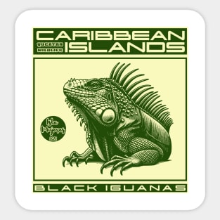 The iguanas of Isla Mujeres, Mexico Sticker